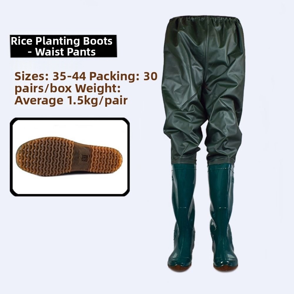 New Plastic PVC Transplant Pan - مراجعة Fishing Pants Waterproof وسعره